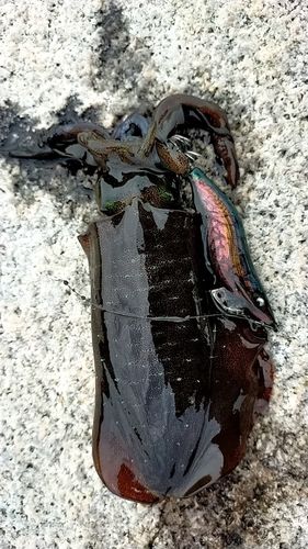 しまなみ海道