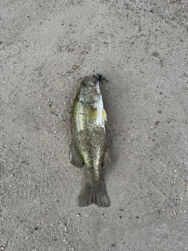 水源公園