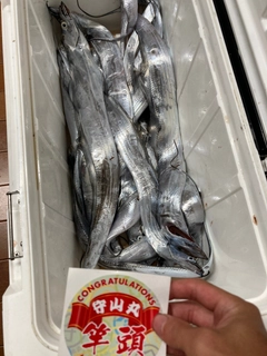 タチウオの釣果