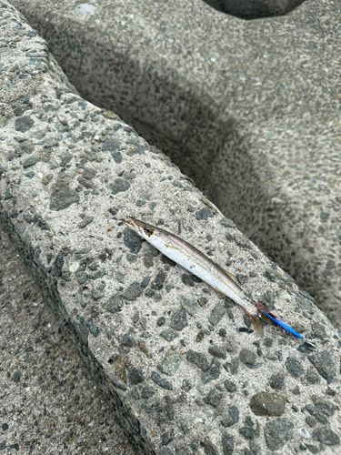 灘浜