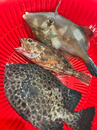 表浜名湖