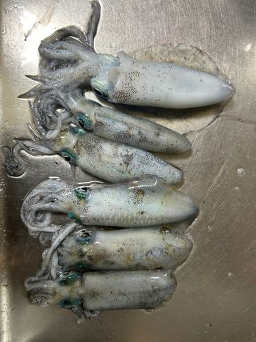 しまなみ海道