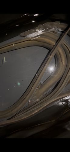 ウナギの釣果