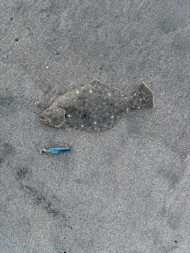 中田島サーフ