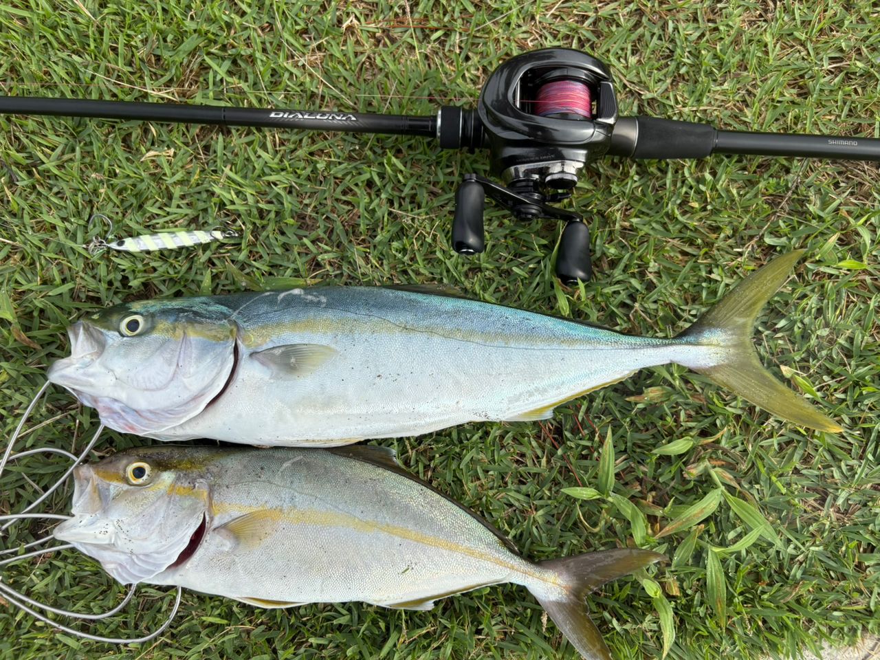 SHIMANO 23 ディアルーナ B96M シマノ(SHIMANO) 23 ディアルーナ B96M(ベイト・2ピース) 355515