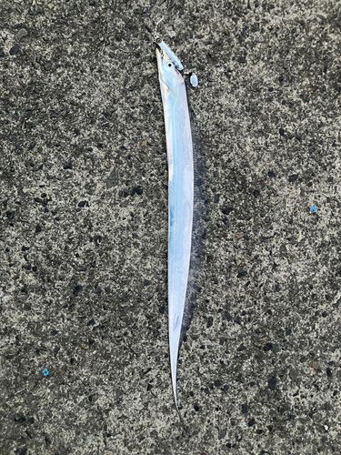 志布志湾