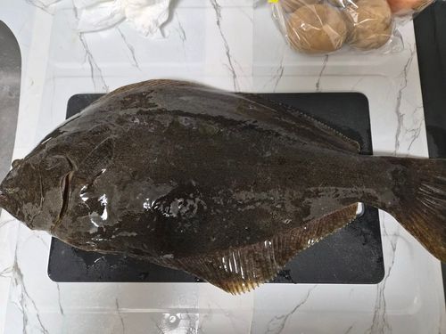 相模湾
