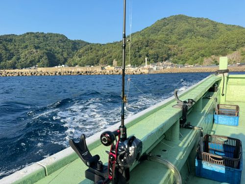 マイカの釣果