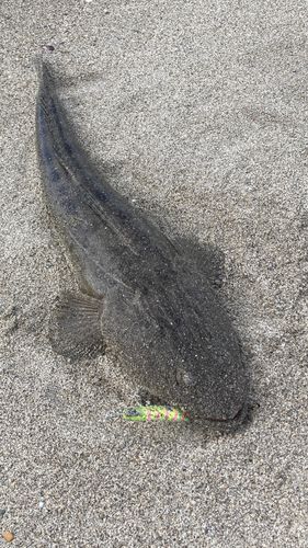 仙南サーフ