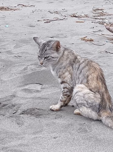 追波湾