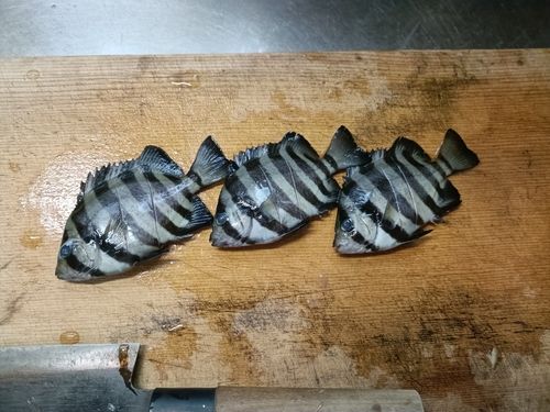 菅浜漁港