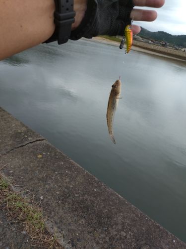 周防灘