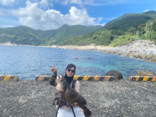ヤイトハタの釣果