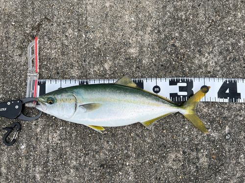 平磯海づり公園