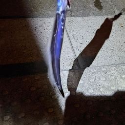 タチウオ