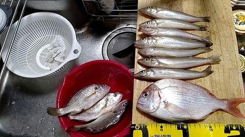 追波湾