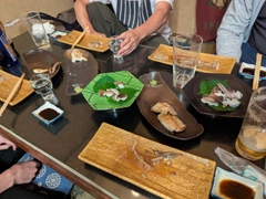 マダコの釣果