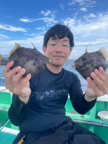 カワハギの釣果