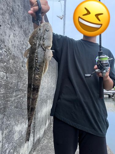 浦戸湾