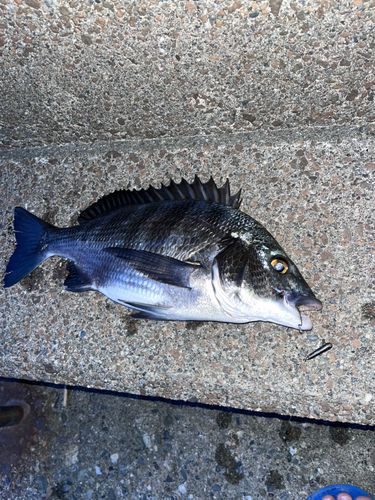 高知県東部
