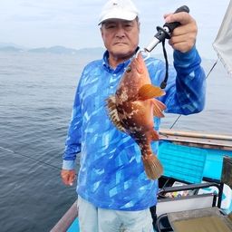 ヘダイ