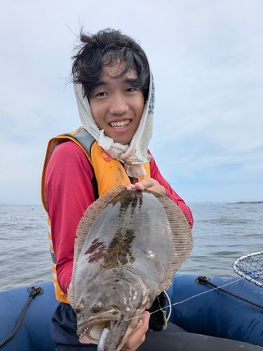 ヒラメの釣果