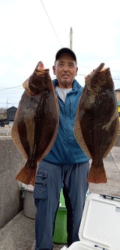 ハナダイの釣果