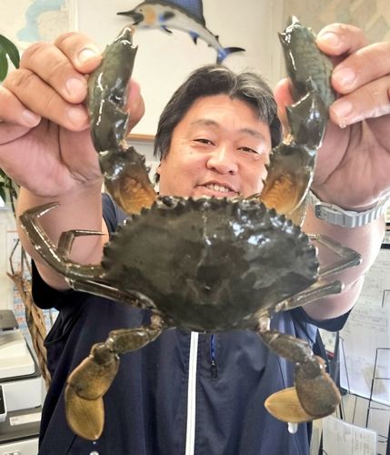東神奈川付近