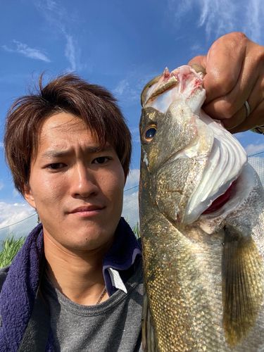 旭川河口