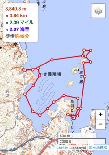 チャリコの釣果