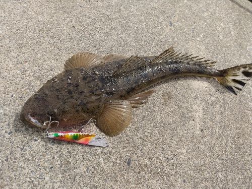 伊勢湾