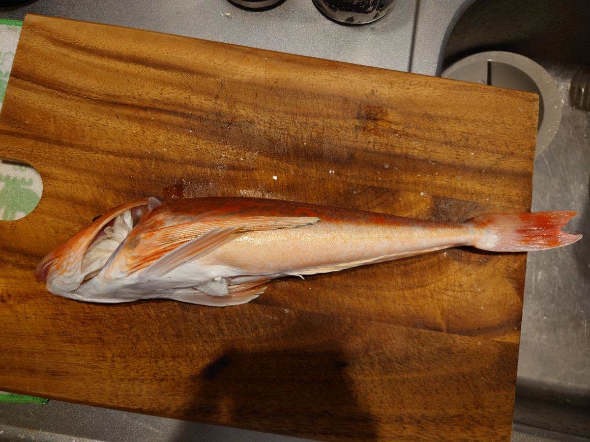 EARTH7597さんの釣果 2枚目の画像