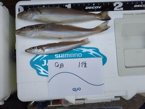 西湘サーフ