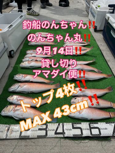 紀伊水道