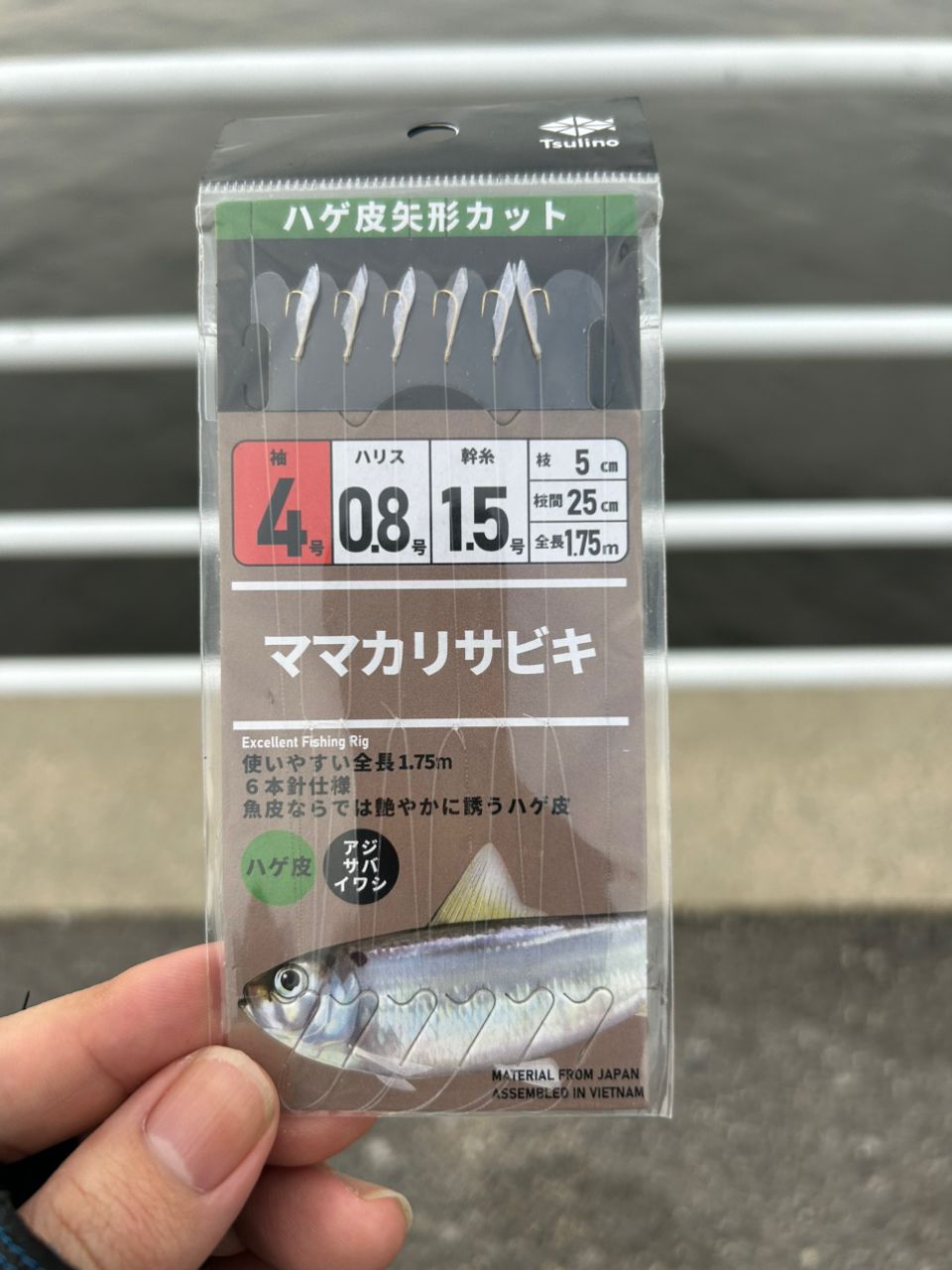 セイゴ（ヒラスズキ）