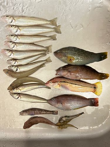 合津港