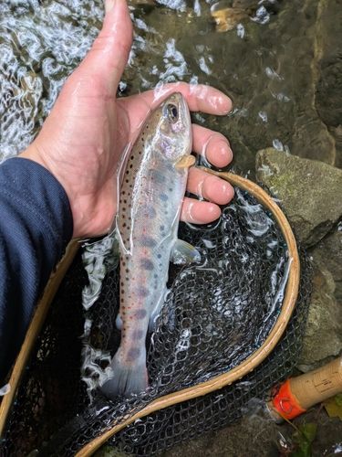 山梨県南部