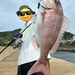 マダイ
