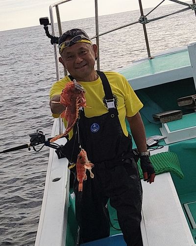 オニカサゴの釣果
