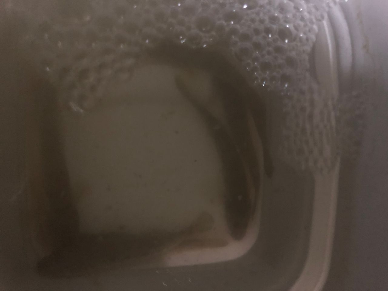 マハゼ