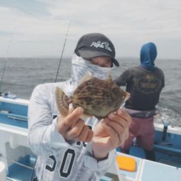 カワハギ