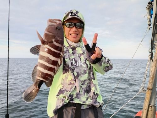 マハタの釣果