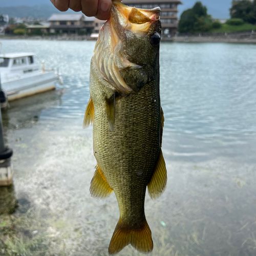 石山唐橋
