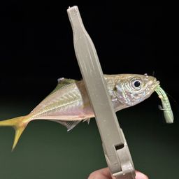アジ