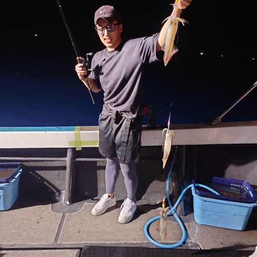 ヤリイカの釣果
