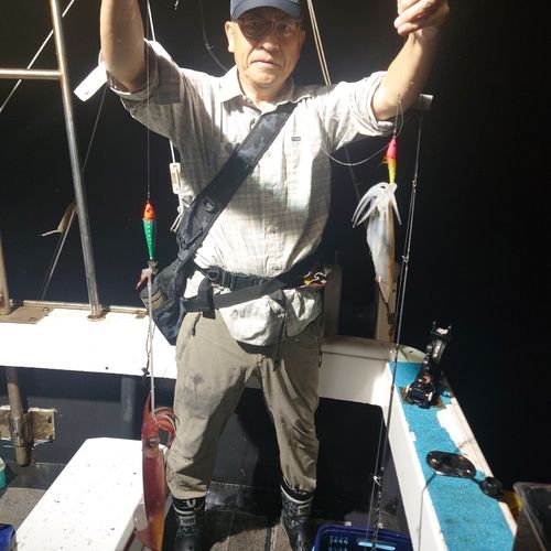 ヤリイカの釣果