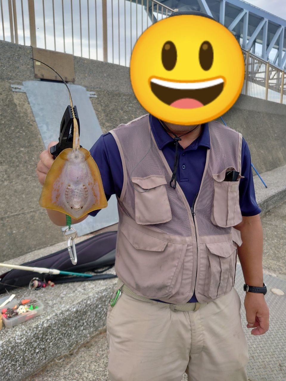 アカエイ