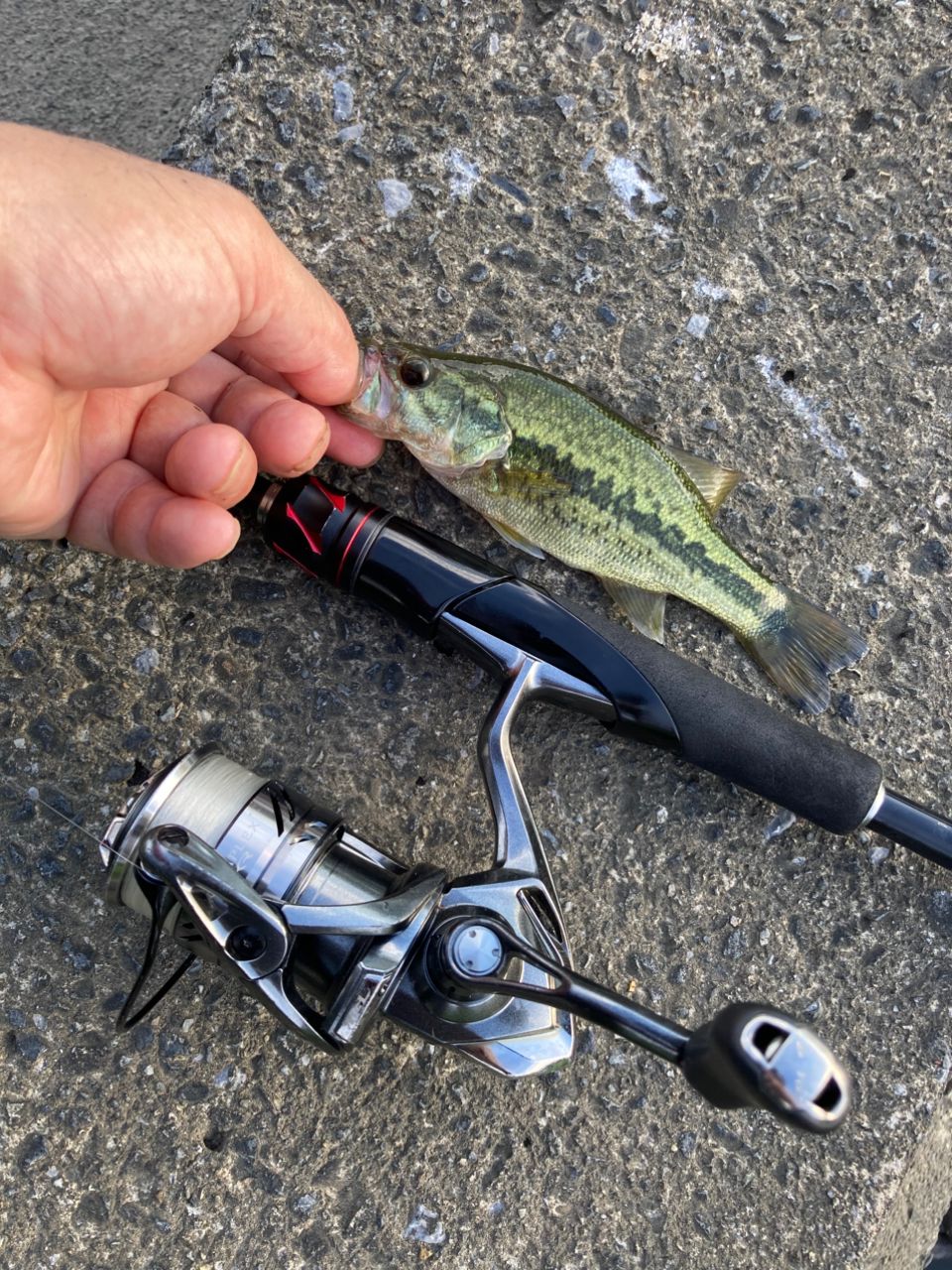 SHIMANO - ゾディアス２６８Ｌー２ 20 ゾディアス 268L-S／2 – フィッシングマックス WEBSHOP