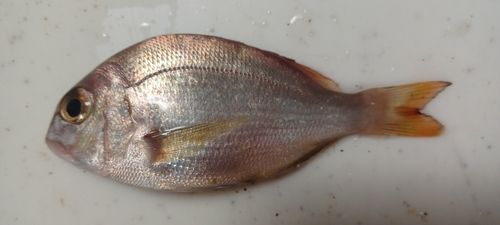 日本鋼管付近