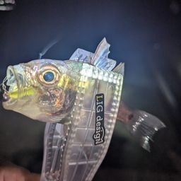 イシモチ